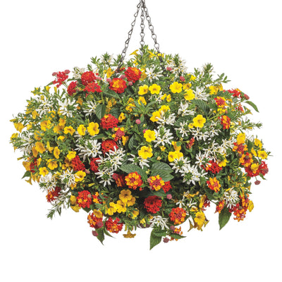Superbells® Yellow Calibrachoa