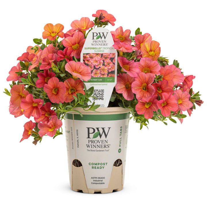 BELPRW129-Hero-1_720x.jpg?v=