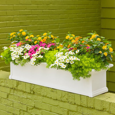 Superbells® Over Easy™ Calibrachoa