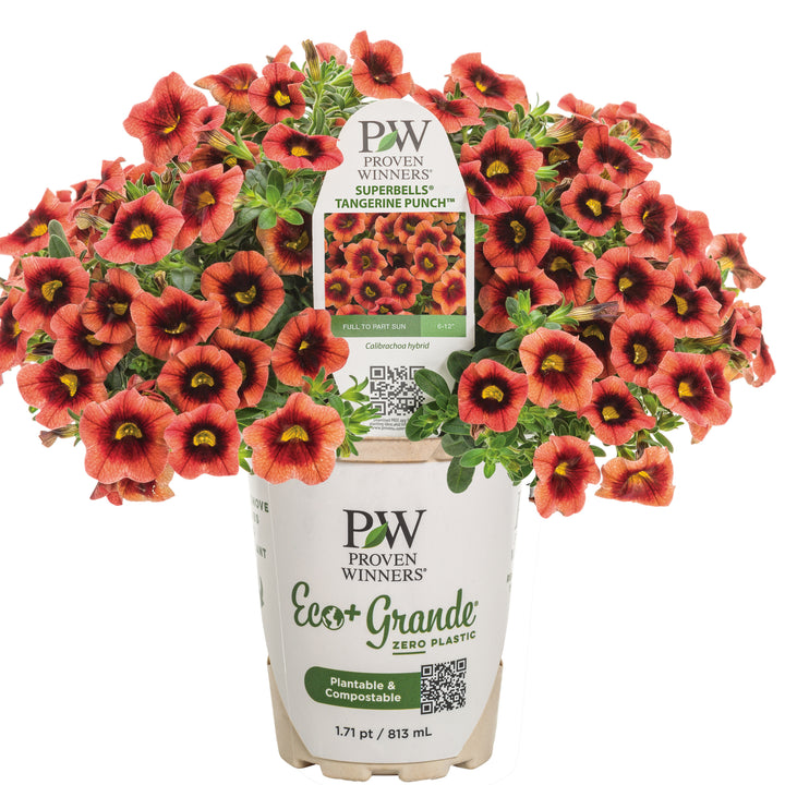 Vaso In Tessuto Per Erbe Aromatiche Bloembagz Da 19 Litri, Con 6 Tasche Tequila Sunrise 83959075