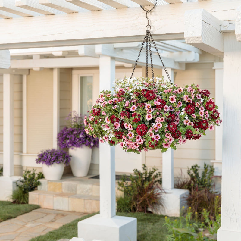 Superbells® Strawberry Punch™ Calibrachoa