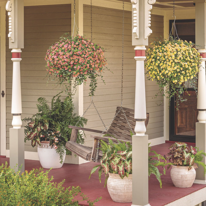 Calibrachoa | Superbells Double Vintage Coral