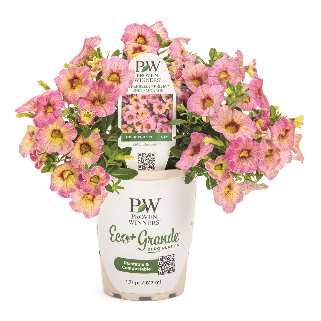 BELPRW720-Hero_1080x.jpg?v=