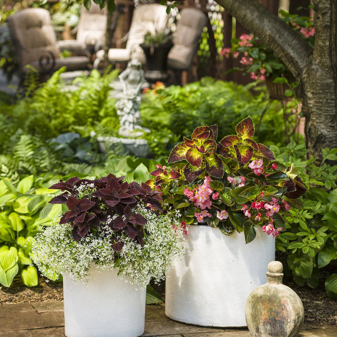 BETPRW004-Lifestyle-1_cc8a6918