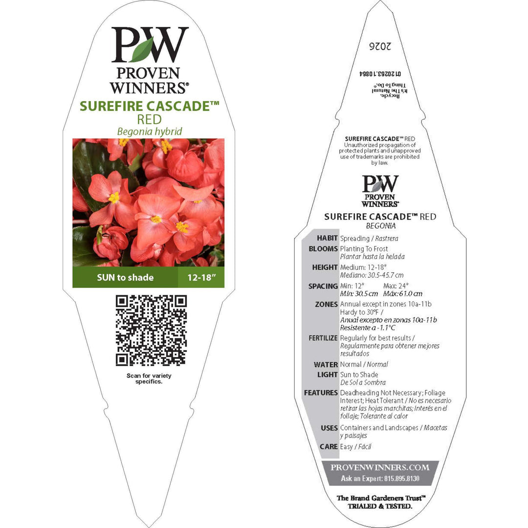 Begonia | Surefire Cascade™ Red | Proven Winners® Annuals – Proven