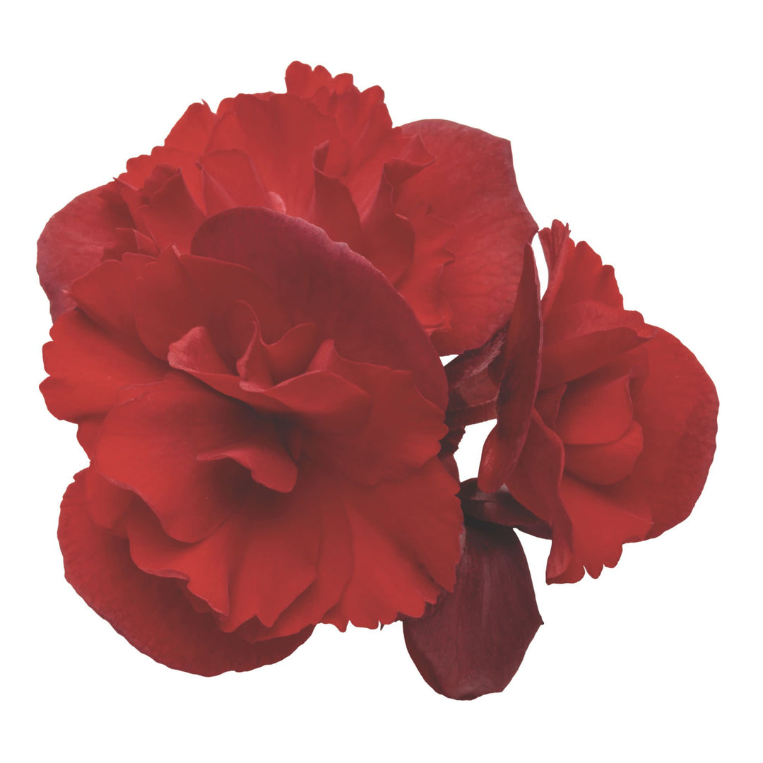 BETPRW302-Macro-1_4bce81af-