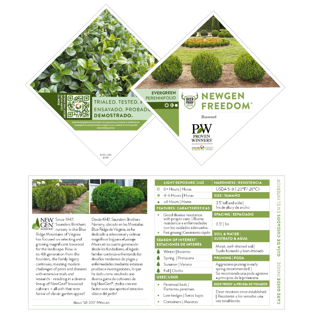 NewGen Freedom® Boxwood (Buxus)