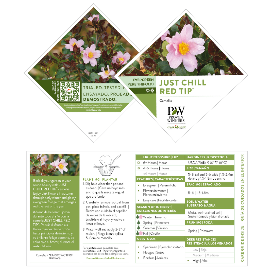 flower♡reeページ PieceRelax - HN1301 - Puzzle Canvas - Retro Wild Rose