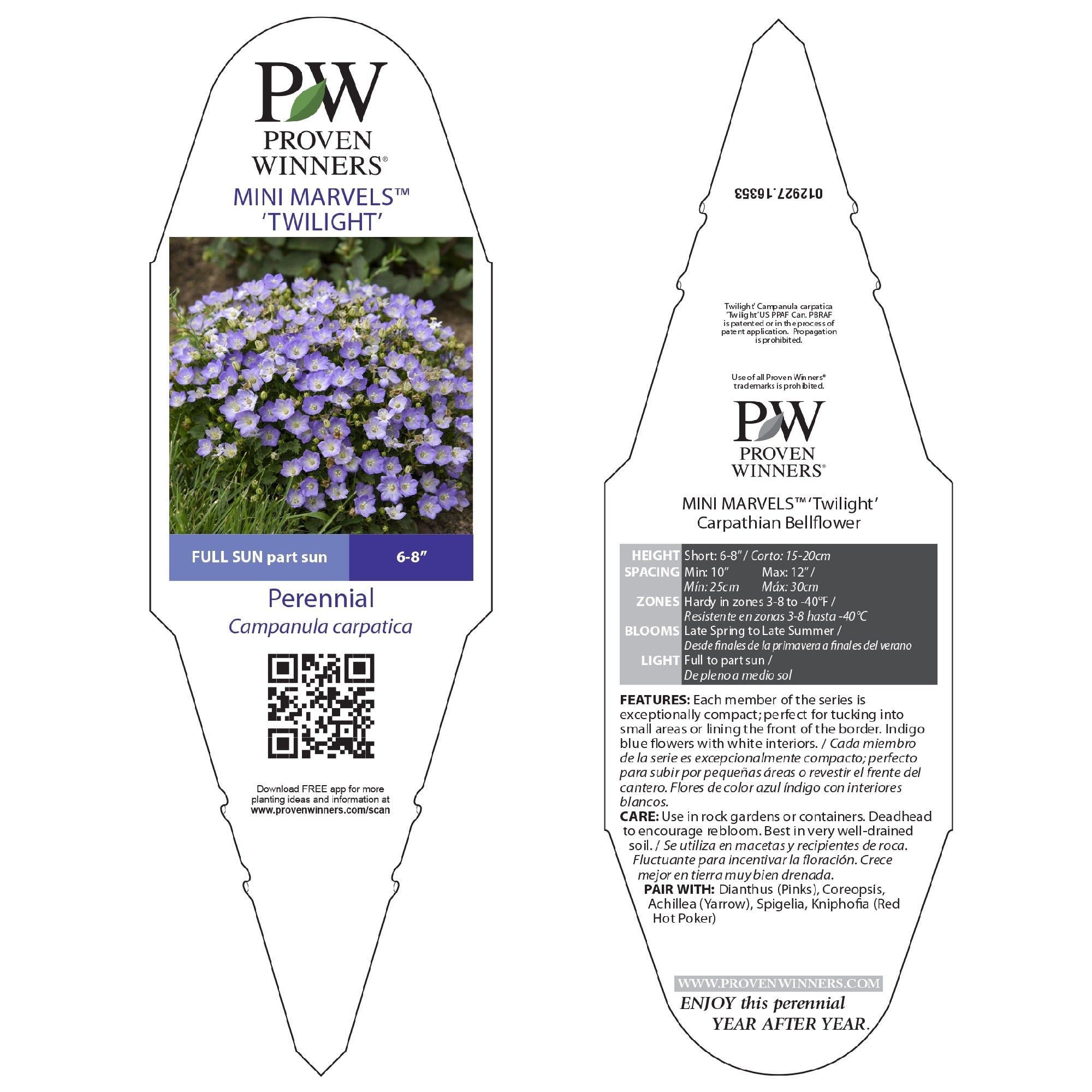 Carpathian Bellflower | Mini Marvels™ 'Twilight' | Proven Winners