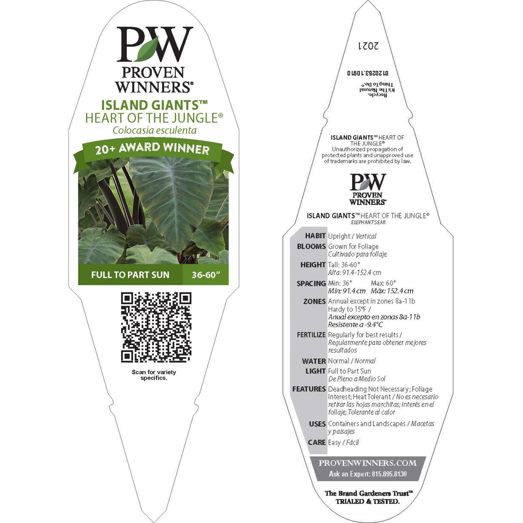 elephant ear plant growth stages Elephant's Ear | Royale Island Giants™ Heart of the Jungle®