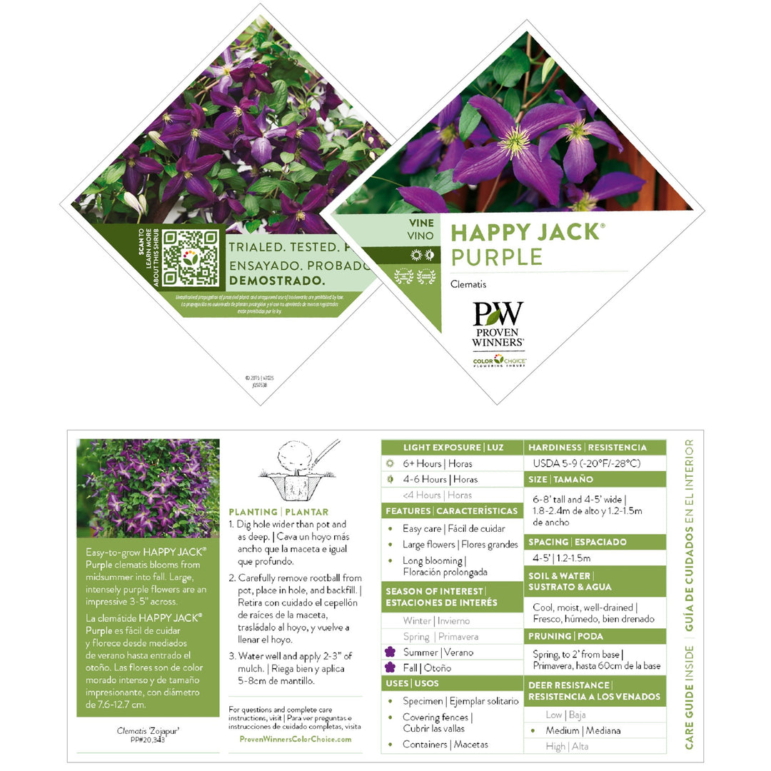 Happy Jack® Purple Clematis
