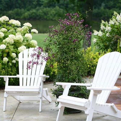 'Sweet Summer Love' Clematis in use.