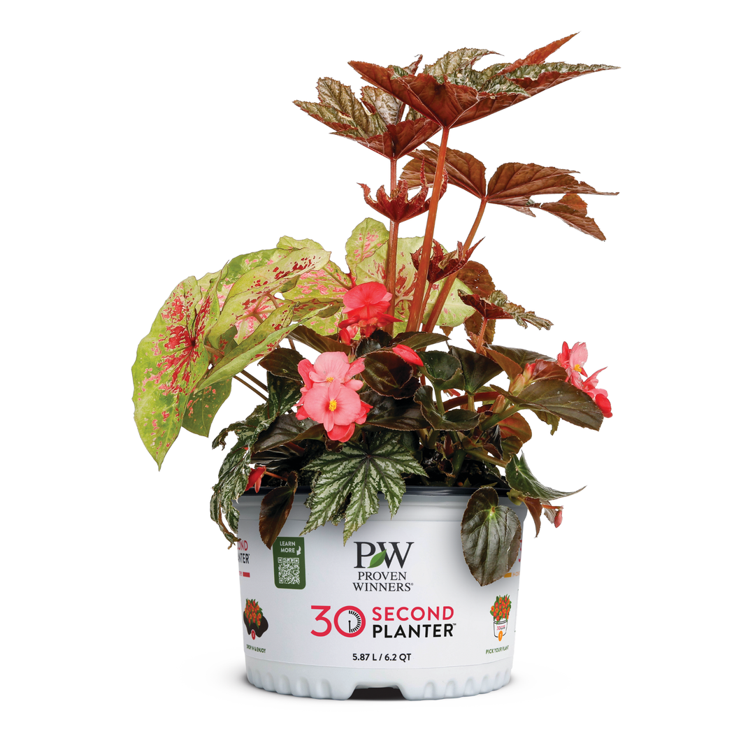 30 Second Planter™ Gentle Blush