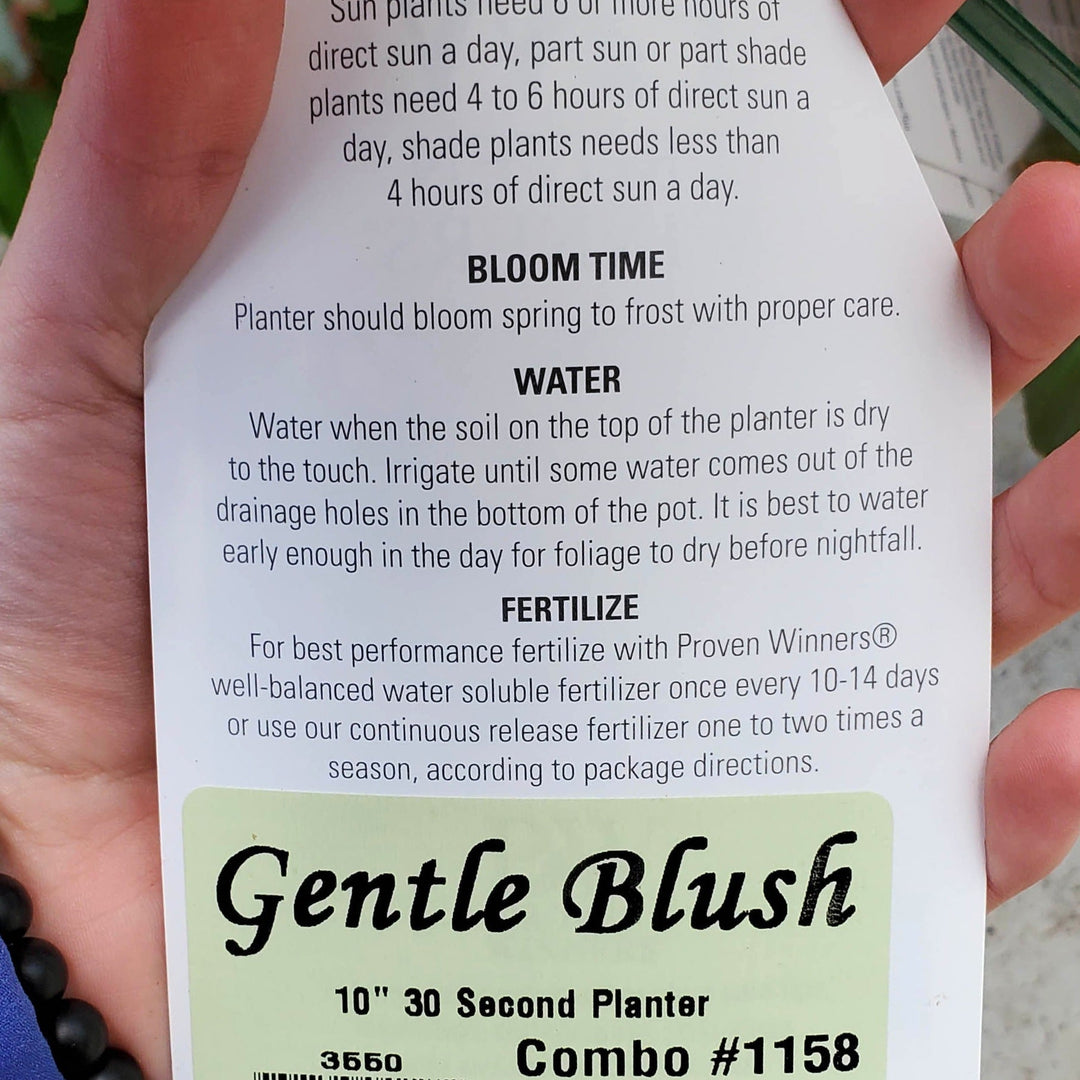Gentle Blush Gentle Blush detailed plant packaging.
