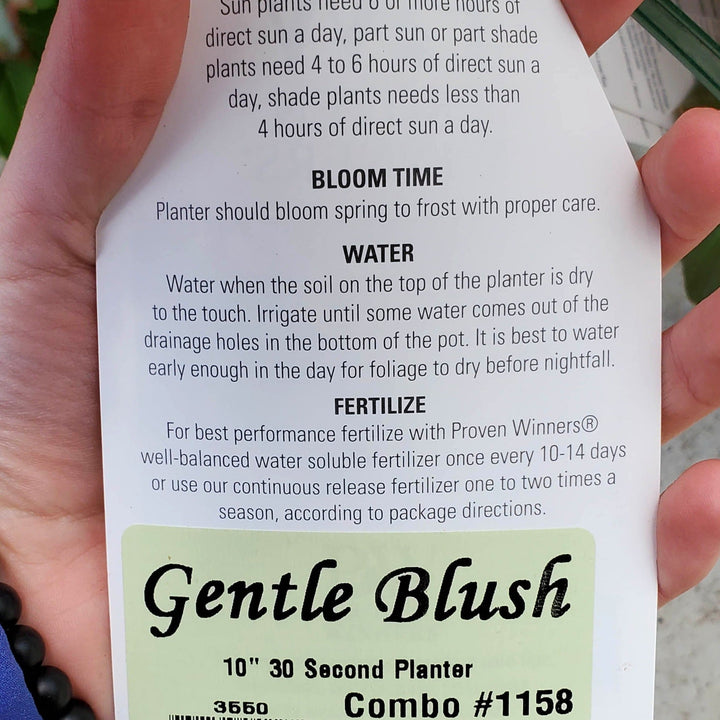 Gentle Blush Gentle Blush detailed plant packaging.