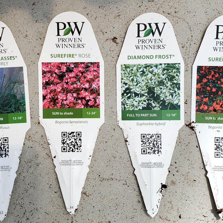 Coming Up Roses Coming Up Roses detailed plant packaging.