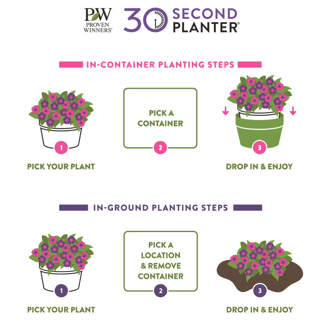 30 Second Planter™ Berry Express