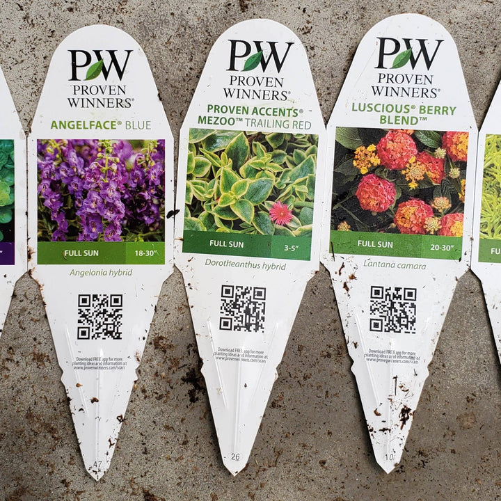 Juneberry Juneberry detailed plant packaging.