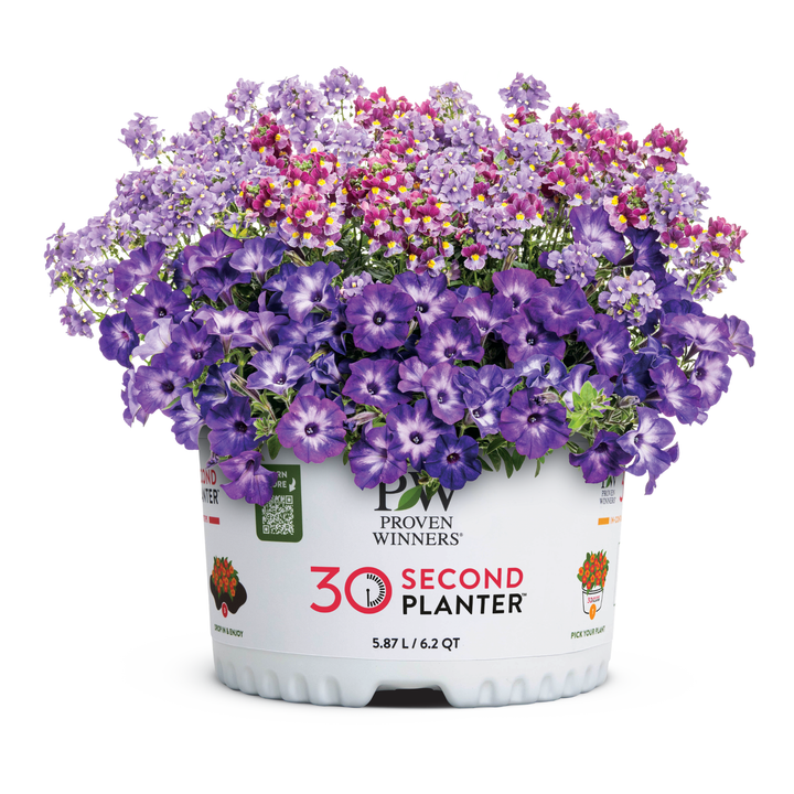 30 Second Planter™ Berry Express