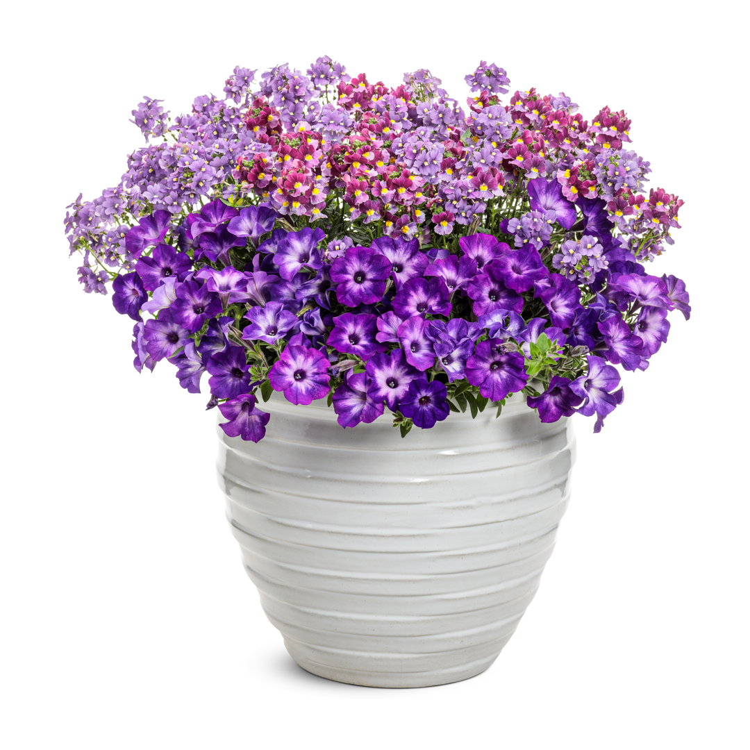 30 Second Planter™ Berry Express
