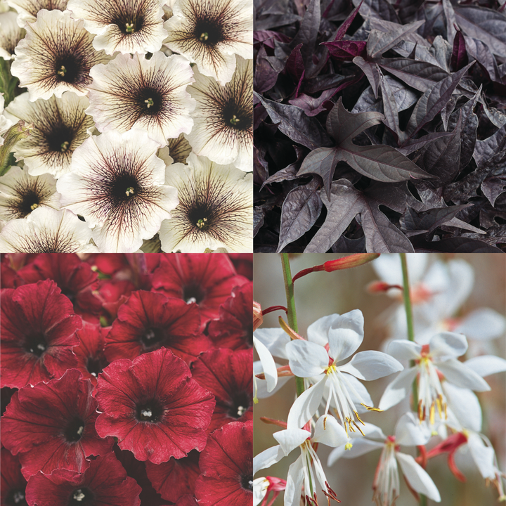 30 Second Planter™ Enchanted Garden