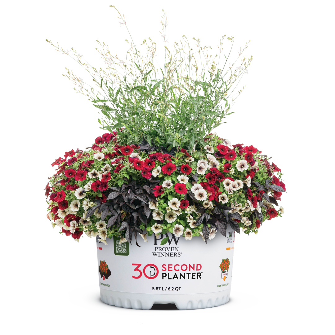 30 Second Planter™ Enchanted Garden