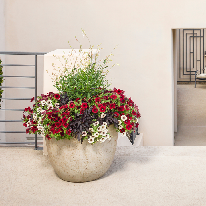 30 Second Planter™ Enchanted Garden