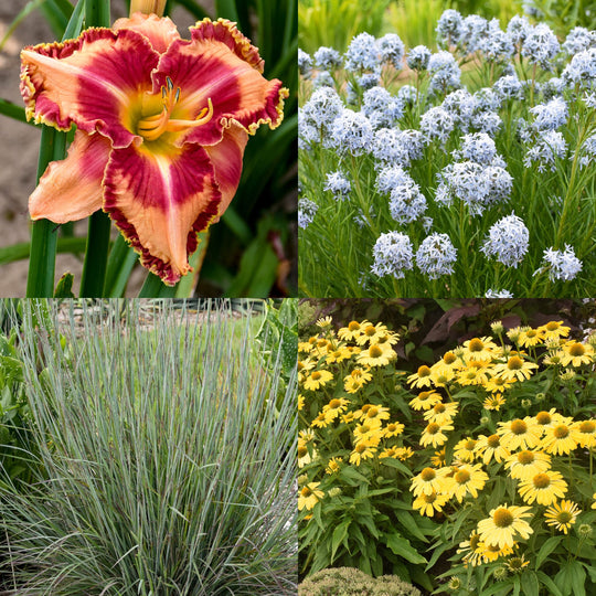 Clay Soil Solution #2 EZ Scape™