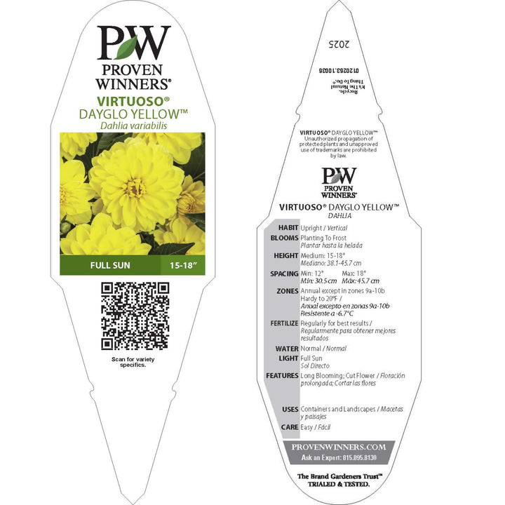 Dahlia | Royale Virtuoso® Dayglo Yellow™ | Proven Winners® Annuals