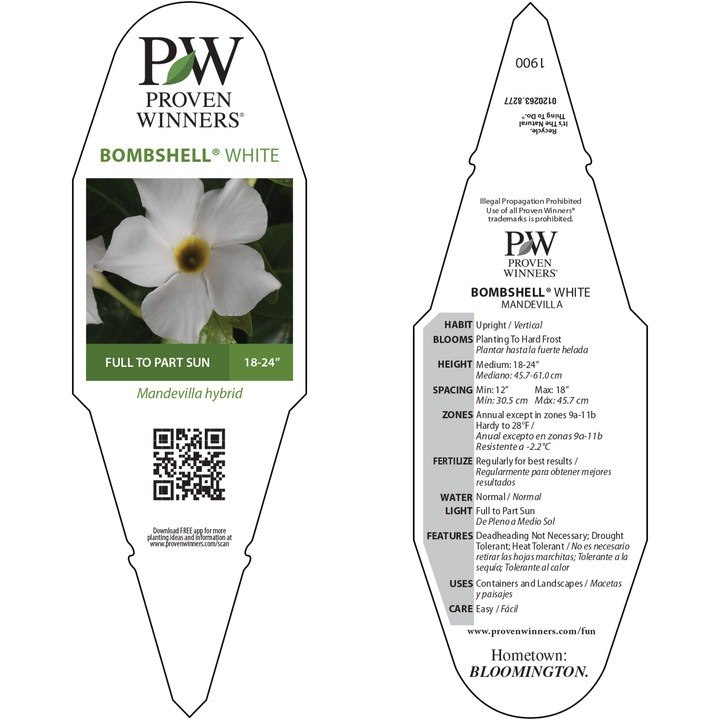 ジャミングタワー　１３枚　希望額教えてください　まとめ売り大歓迎 Rocktrumpet | Bombshell® White | Proven Winners® Annuals – Proven