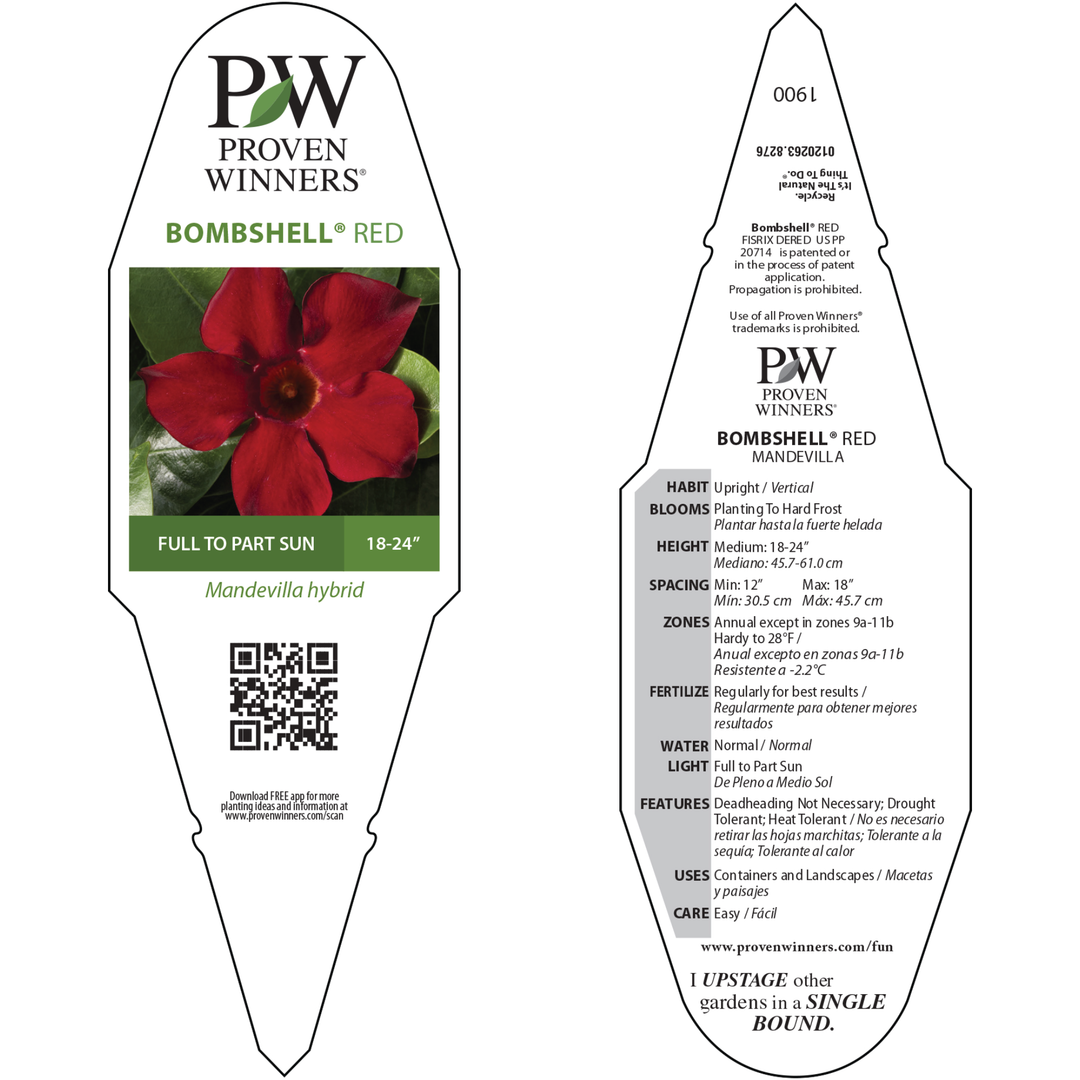 Rocktrumpet | Bombshell® Red | Proven Winners® Annuals – Proven