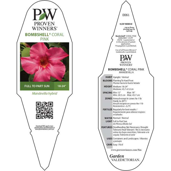 Rocktrumpet | Bombshell® Coral Pink | Proven Winners® Annuals