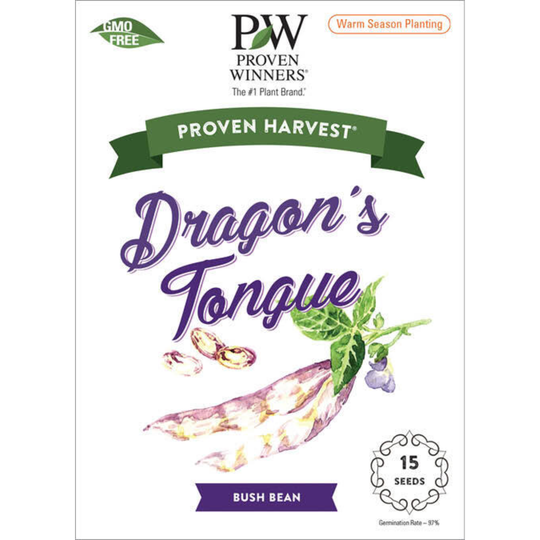 Seeds Dragon Tongue Bush Bean (Phaseolus vulgaris)