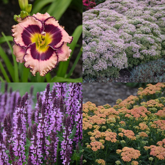 Dry Space Filler #1 EZ Scape™