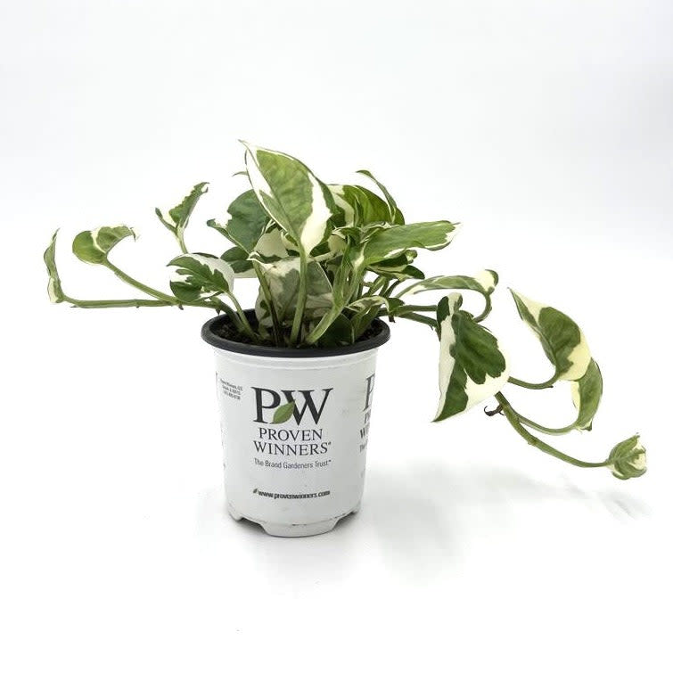 Leaf The Small One オーナメント Artificial Faux Small Japanese Zen Leaf Stem 18