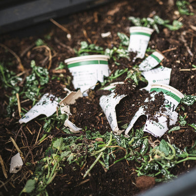 An example of Eco+ pots being composted