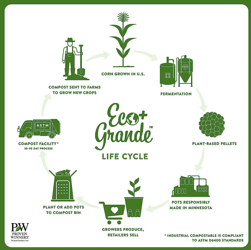 An infographic showing the circular cycle eco+ life cycle: corn grown in U.S.; fermentation; plant-based pellets; pots responsibly made in Minnesota; growers produce, retailers sell; plant or add pots to compost bin; compost facility; compost sent to farm to grow new crops.