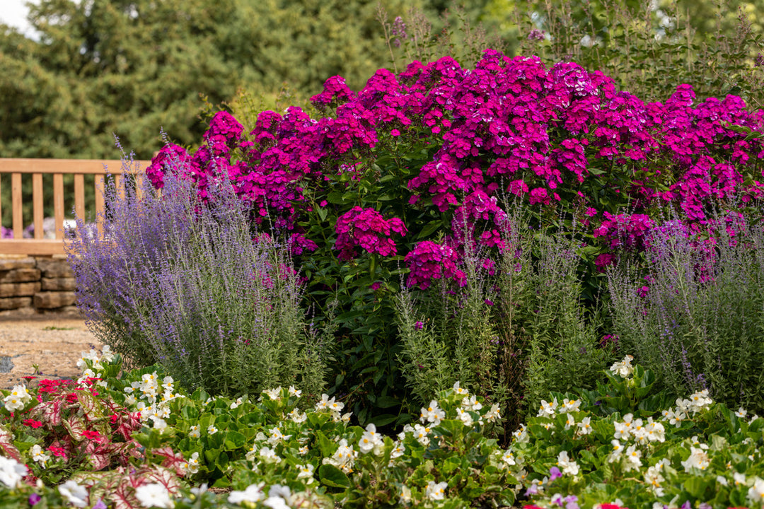 2026 Proven Winners Direct Signature Garden Event Ticket
