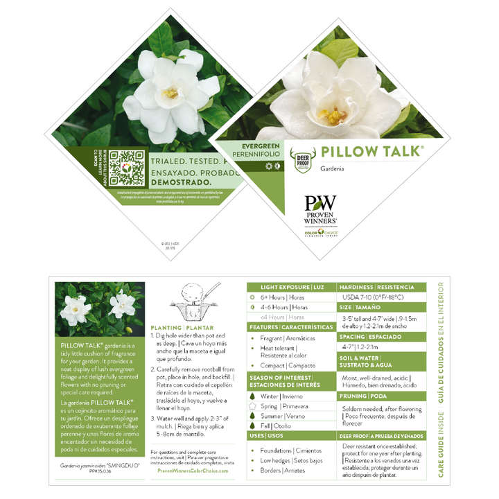 indoor gardenia plant care instructions Gardenia | Pillow Talk®