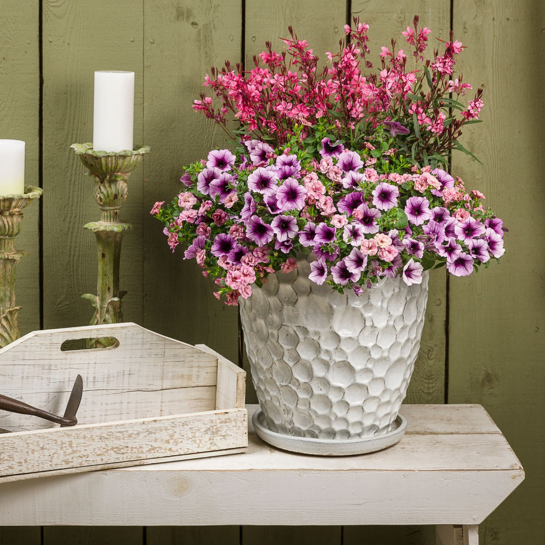 Butterfly Flower | Karalee® Petite Pink