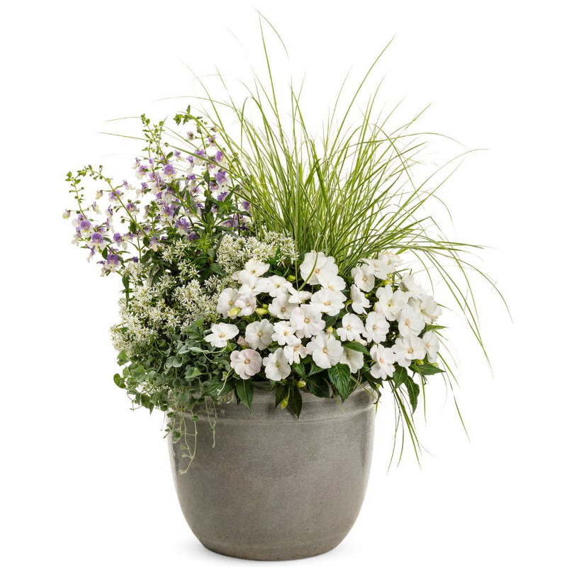 Graceful Grasses® &