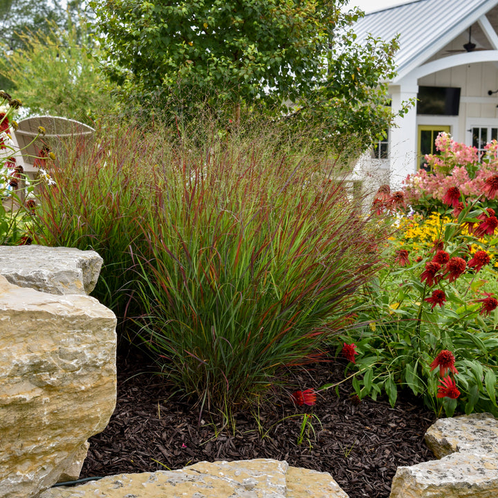 Prairie Winds® &