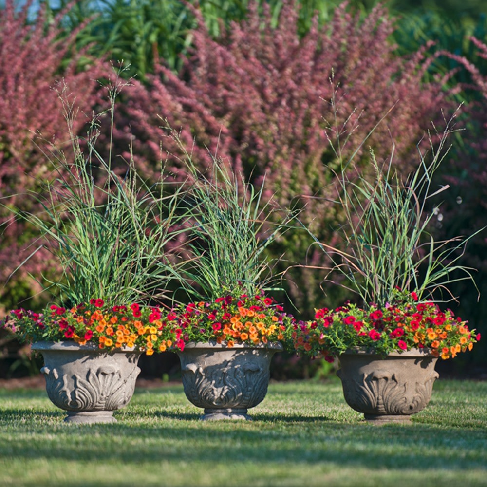 Prairie Winds® &