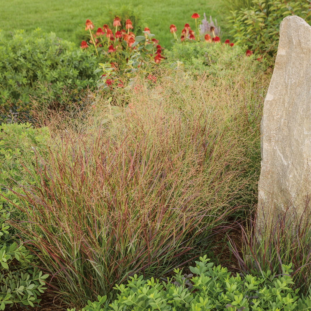 Prairie Winds® &