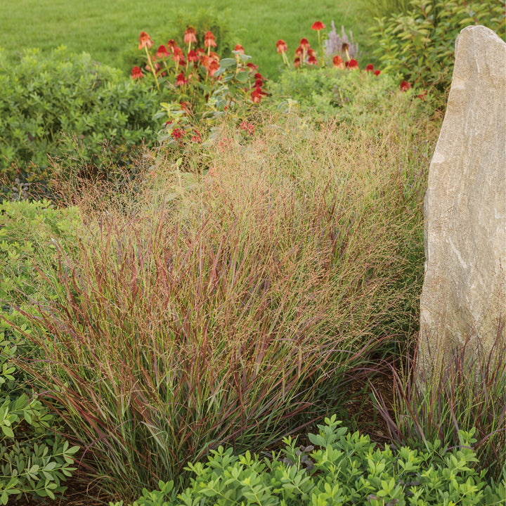 Prairie Winds® &