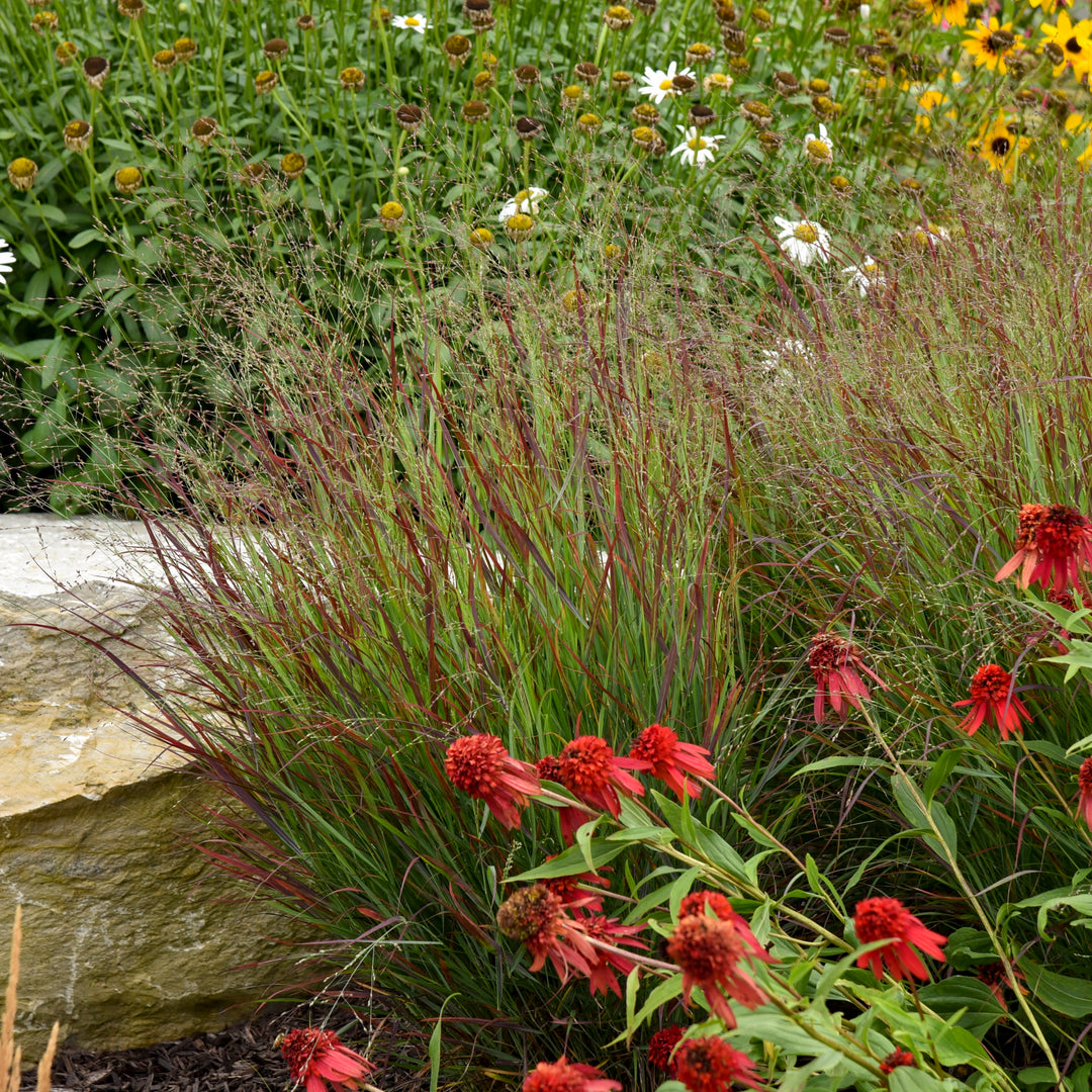 Prairie Winds® &