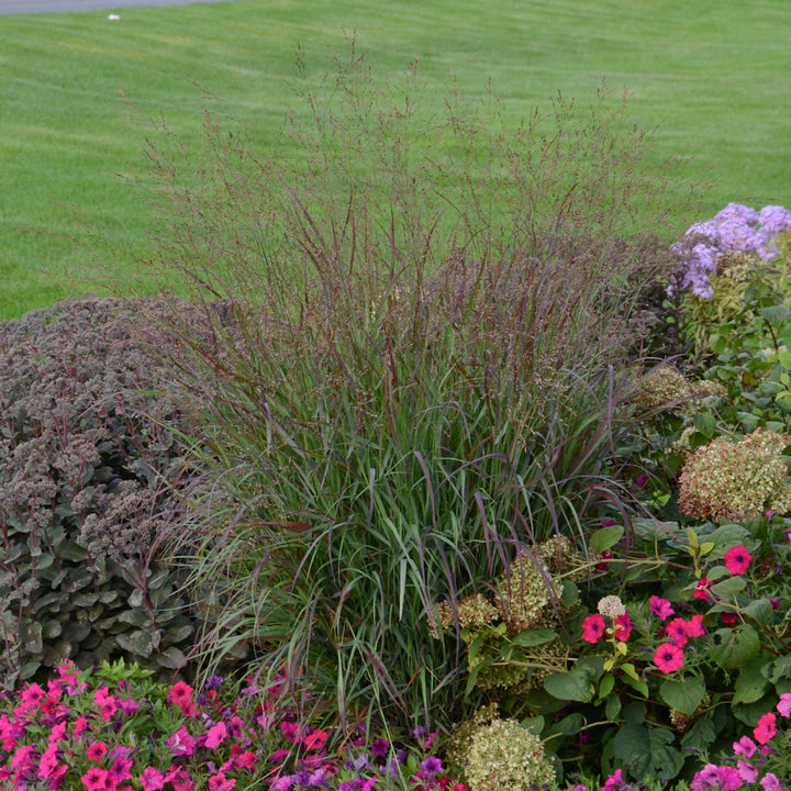 Prairie Winds® &