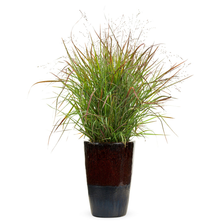 Prairie Winds® &