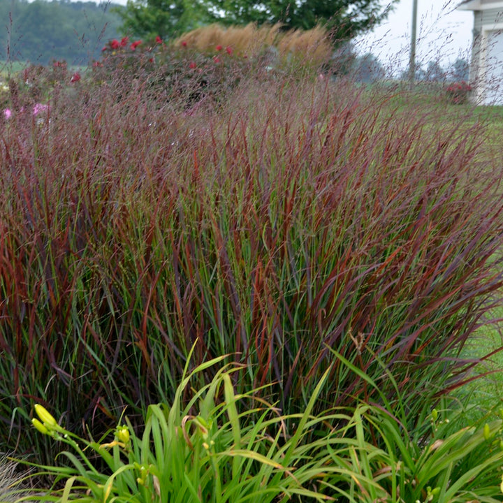 Prairie Winds® &