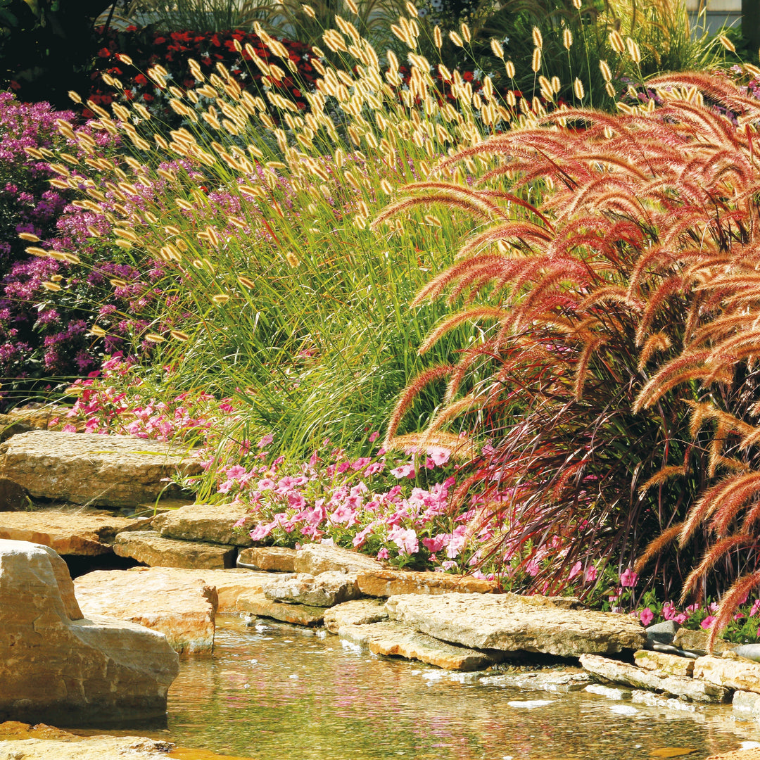 Prairie Winds® &